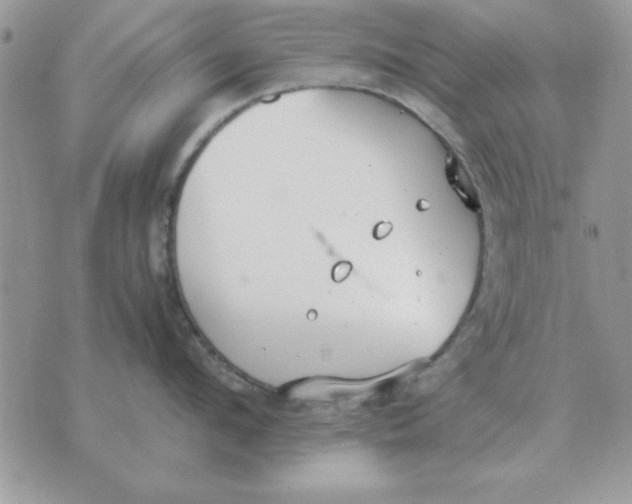 X0000070430912200606302123