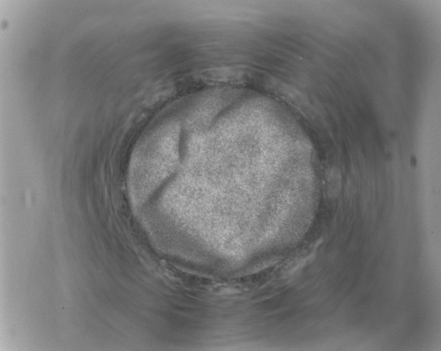 X0000070430913200606302122