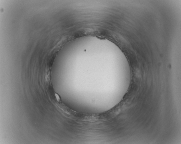 X0000070430914200606302122