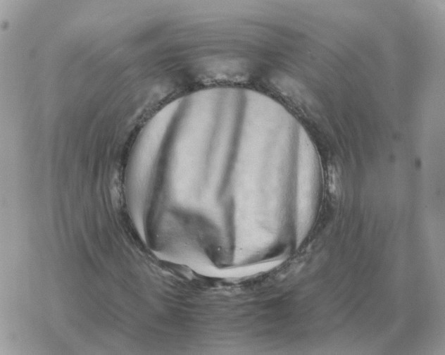 X0000070430915200606302122