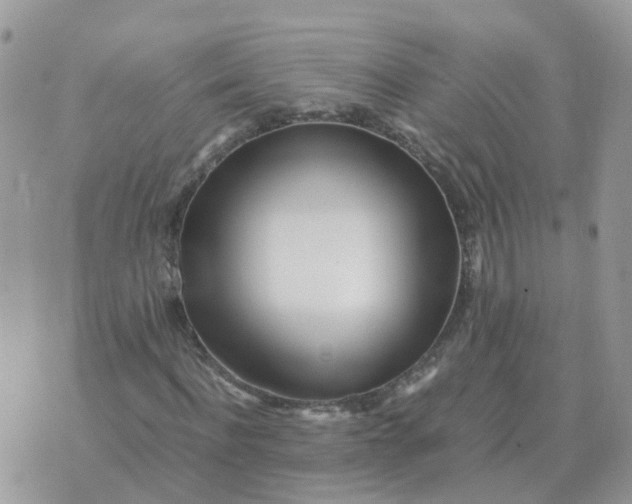 X0000070430916200606302122