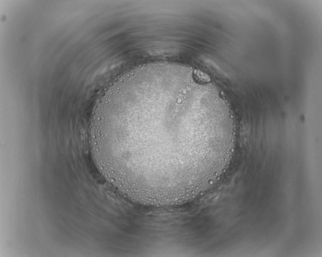 X0000070430917200606302122