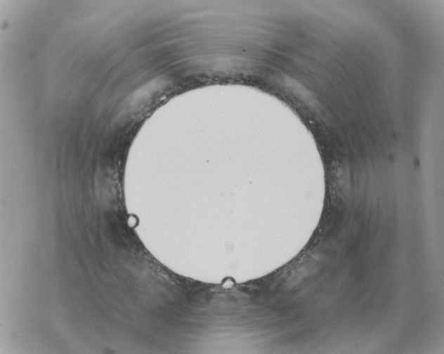 X0000070430918200606302122