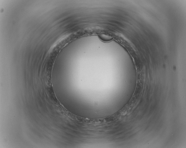 X0000070430919200606302122