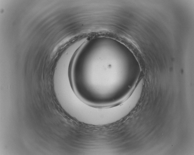 X0000070430920200606302122