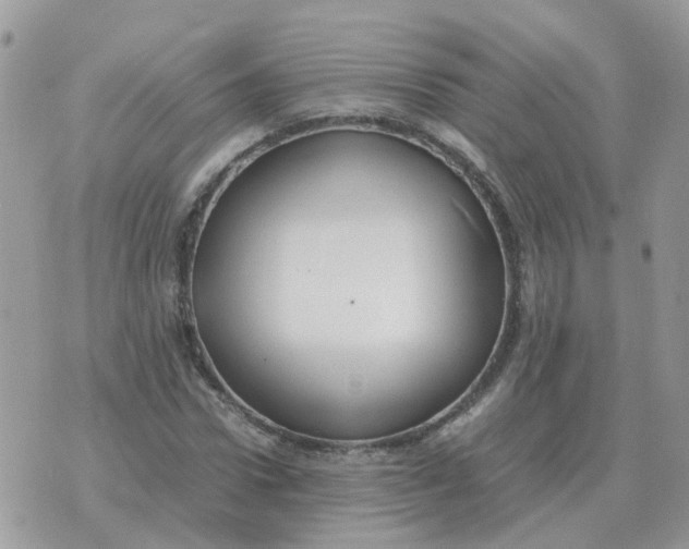 X0000070430922200606302122