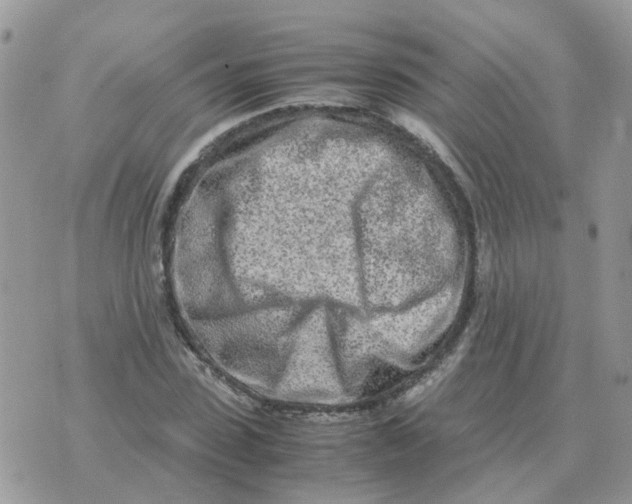 X0000070430923200606302122