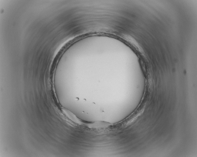 X0000070430924200606302122