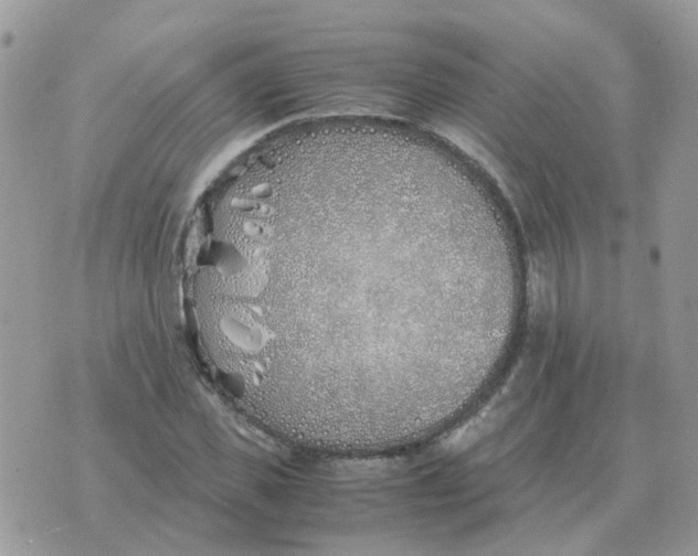 X0000070430925200606302122