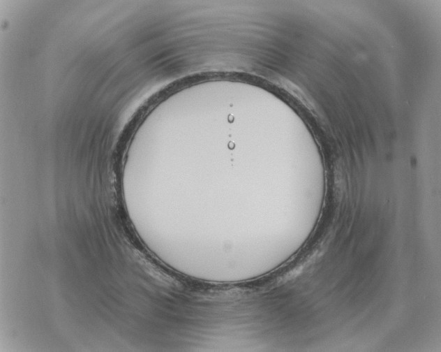 X0000070430926200606302122