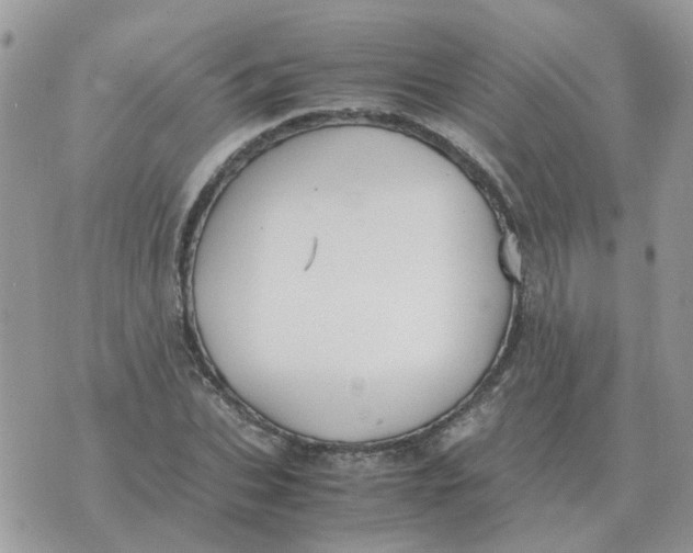 X0000070430927200606302122