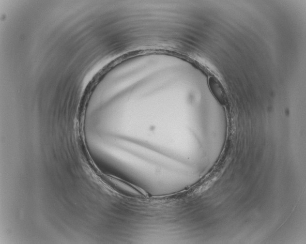 X0000070430928200606302122