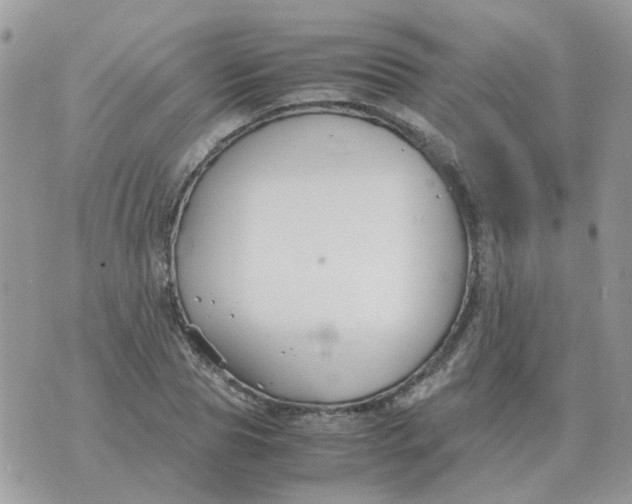 X0000070430929200606302122