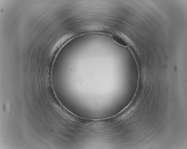 X0000070430930200606302122