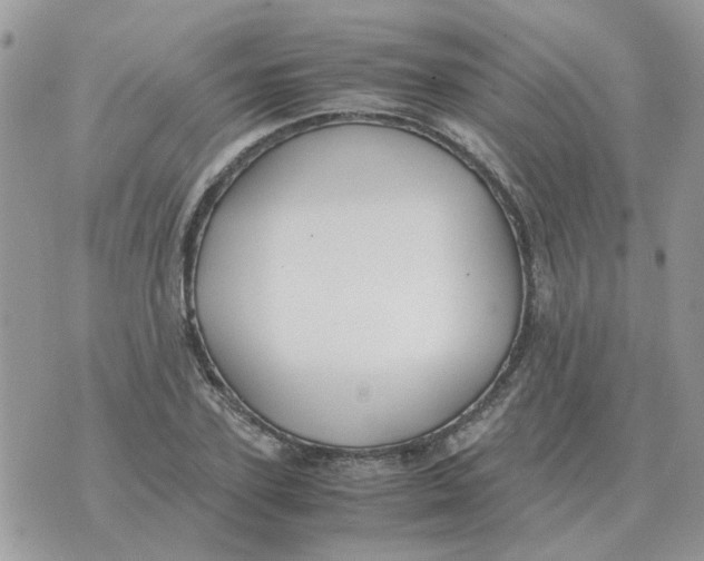 X0000070430931200606302122