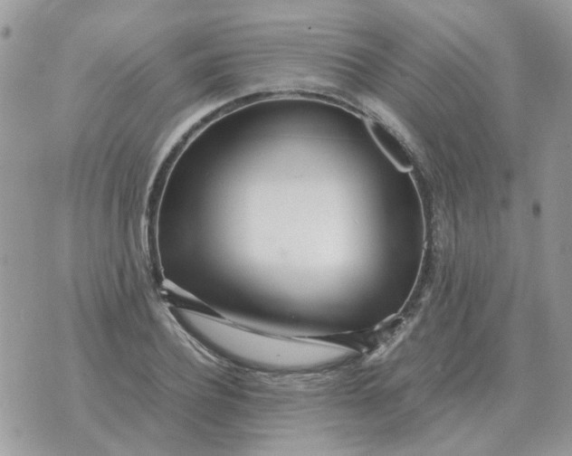 X0000070430932200606302122