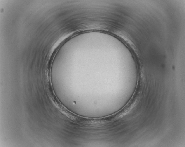 X0000070430933200606302122