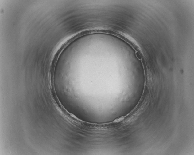 X0000070430935200606302122