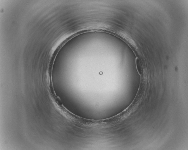 X0000070430936200606302122