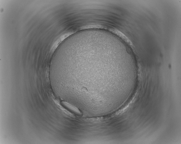 X0000070430937200606302123