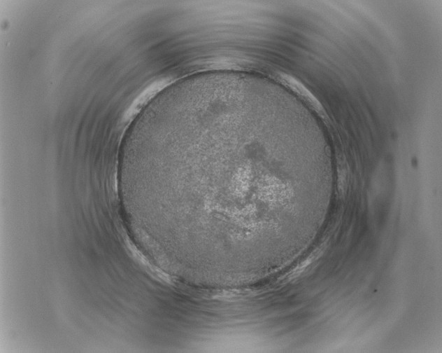 X0000070430938200606302123