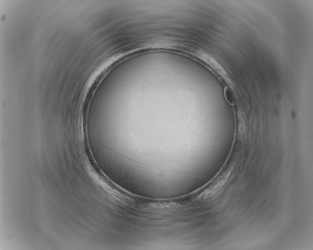 X0000070430939200606302123