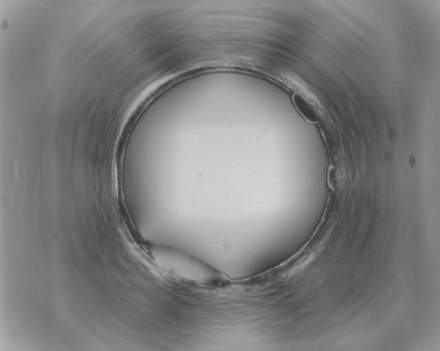 X0000070430940200606302123