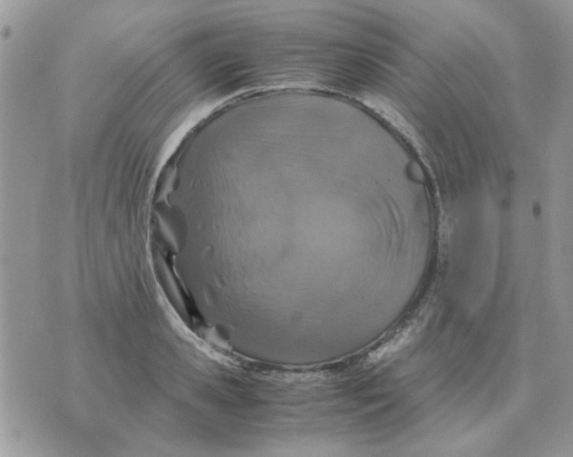 X0000070430941200606302123