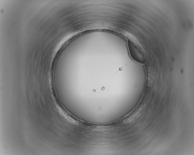 X0000070430942200606302123