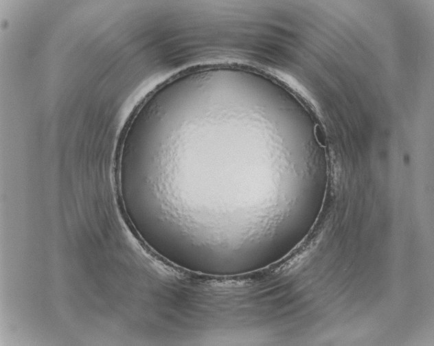 X0000070430943200606302123