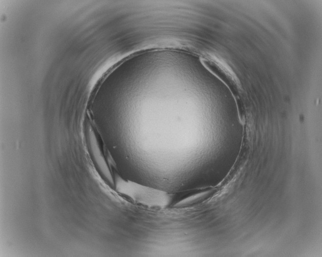 X0000070430944200606302123