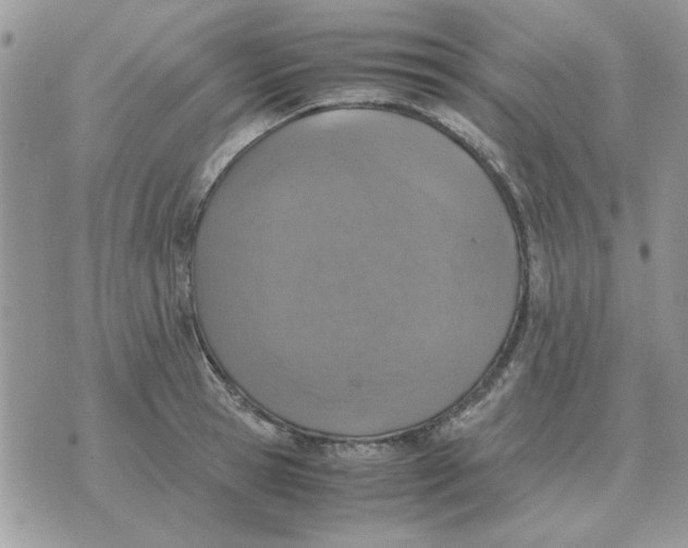 X0000070430945200606302123