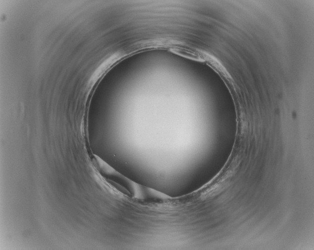 X0000070430946200606302123