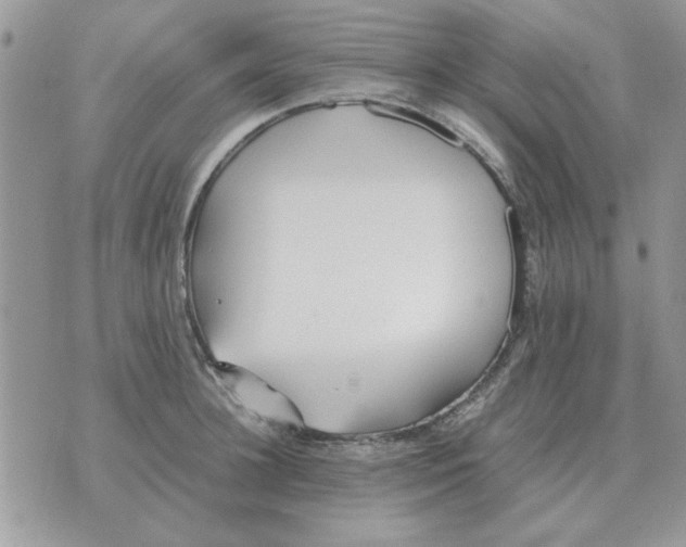 X0000070430948200606302123