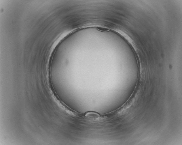 X0000070430949200606302123