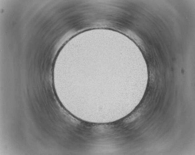 X0000070430950200606302123