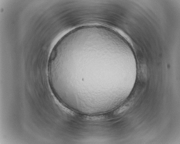 X0000070430951200606302123