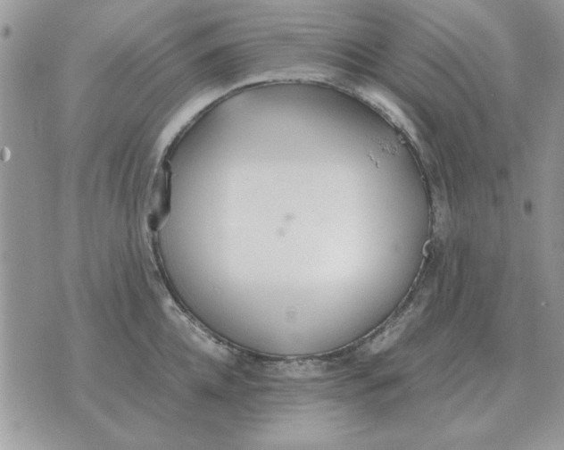 X0000070430952200606302123