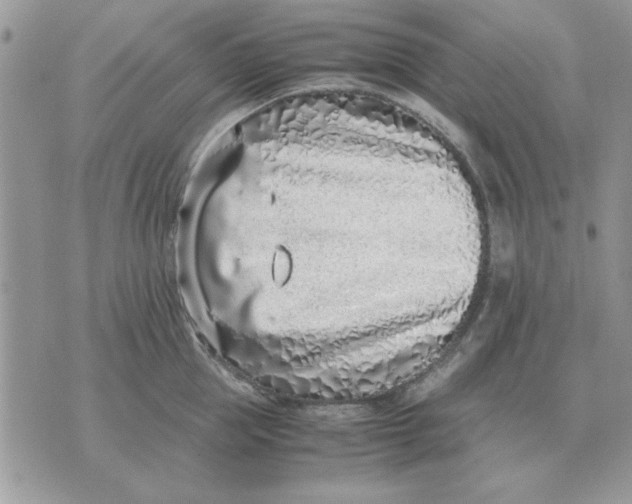 X0000070430953200606302123