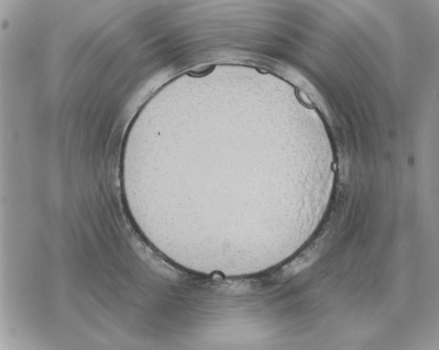 X0000070430954200606302123