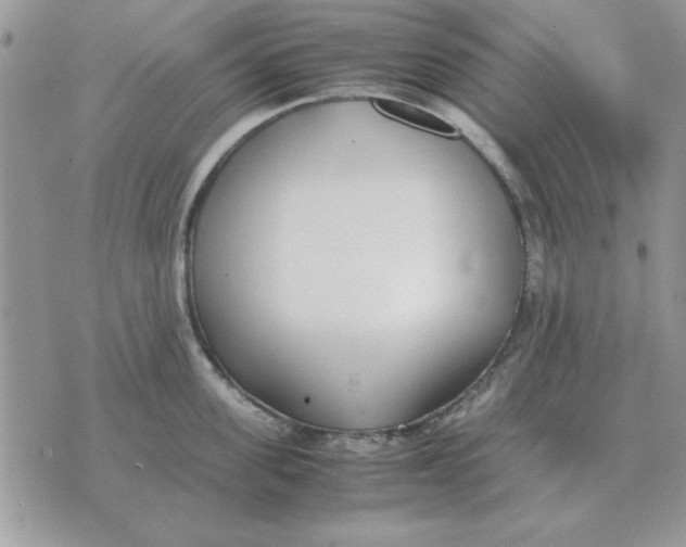 X0000070430955200606302123