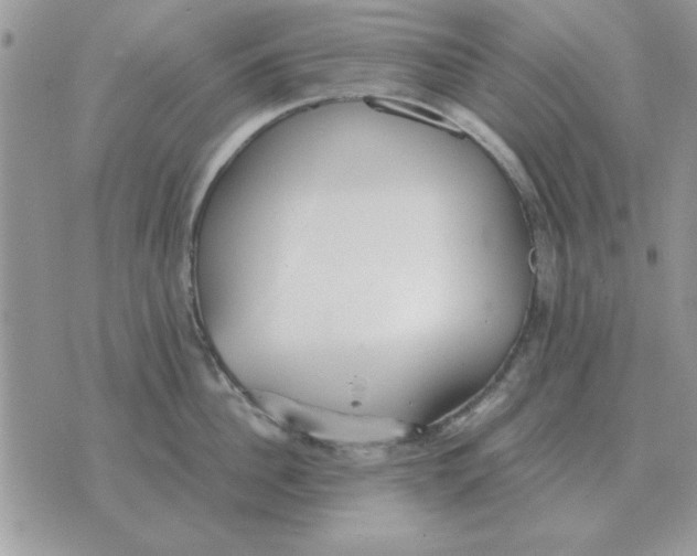 X0000070430956200606302123