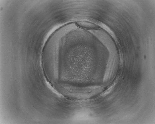 X0000070430958200606302123