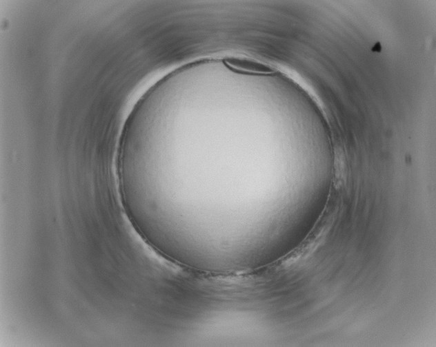 X0000070430959200606302123