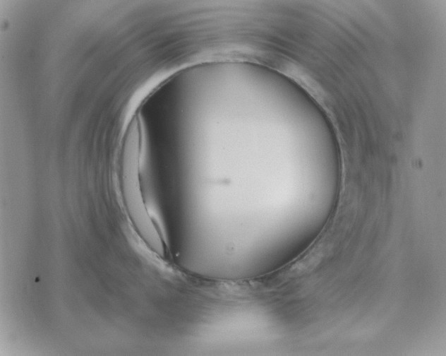 X0000070430960200606302123