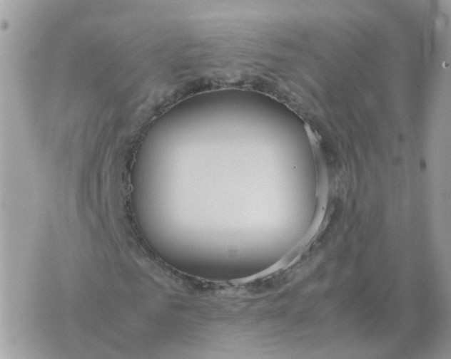 X0000070430961200606302122