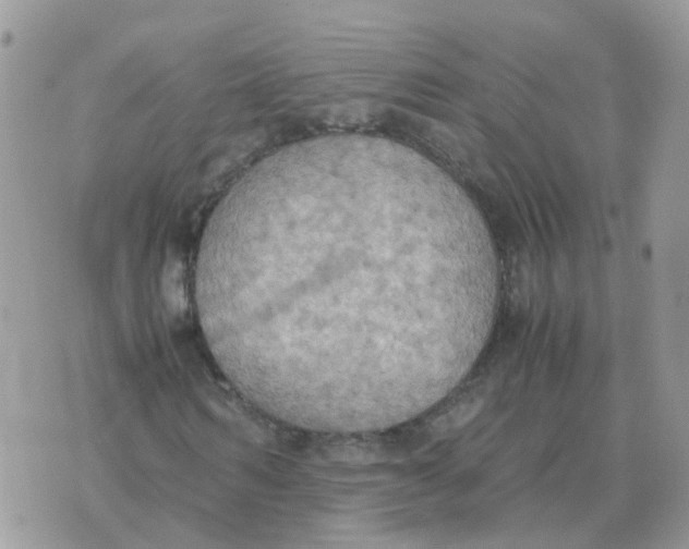 X0000070430962200606302122