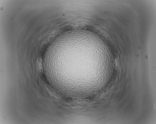 X0000070430963200606302122