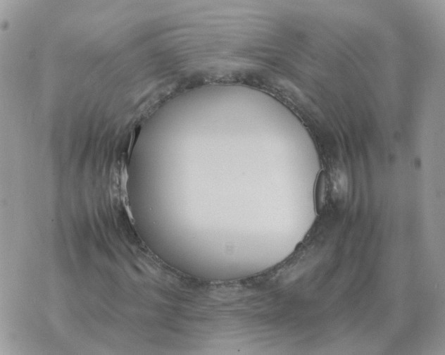 X0000070430964200606302122