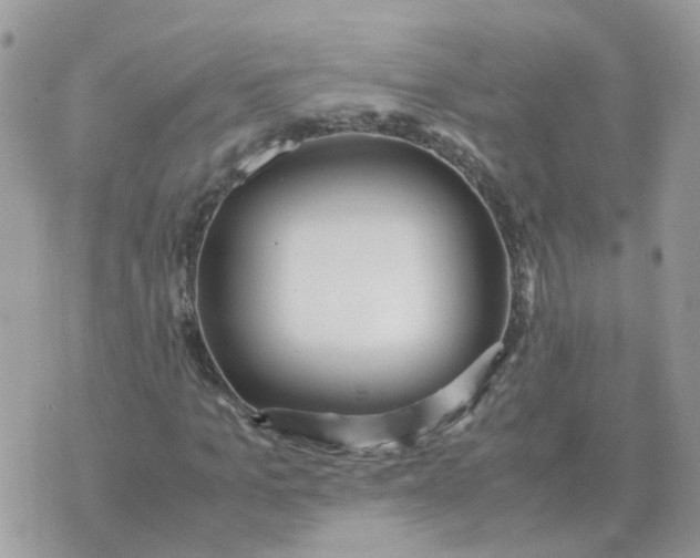 X0000070430965200606302122